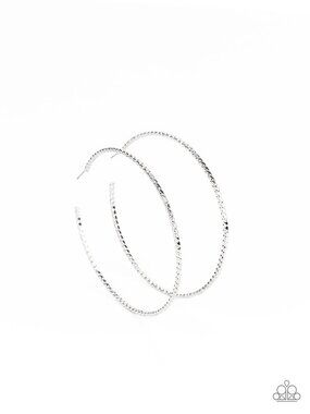 Paparazzi Hoop Earrings (EH040)